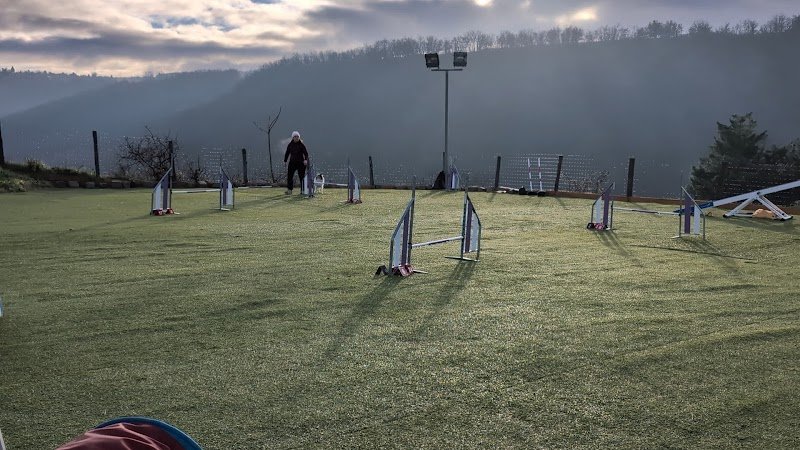 Agility School - photo 2