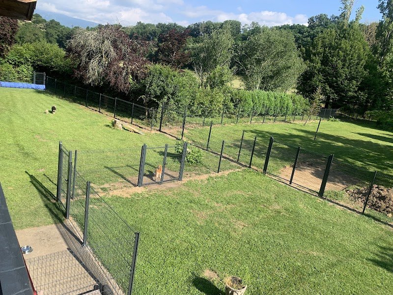 Garderie Canine de l'olympe - photo 1