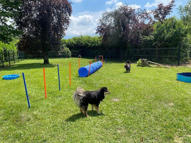 Garderie Canine de l'olympe - photo 3