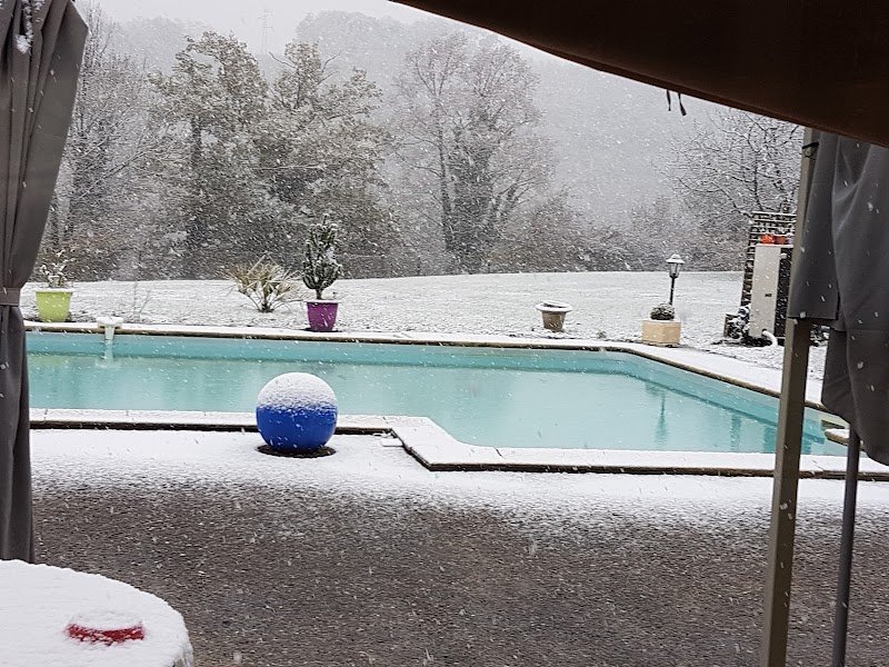 Aux Vacances Canines - photo 1