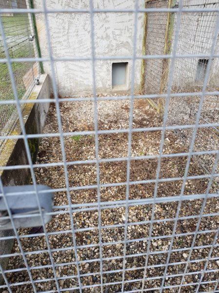 Aux Vacances Canines - photo 2