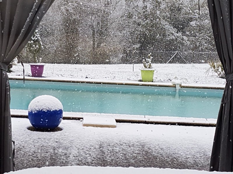 Aux Vacances Canines - photo 3