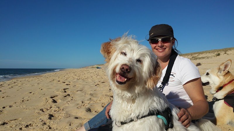 Toutou baigne, Toilettage canin, Vercors - photo 1