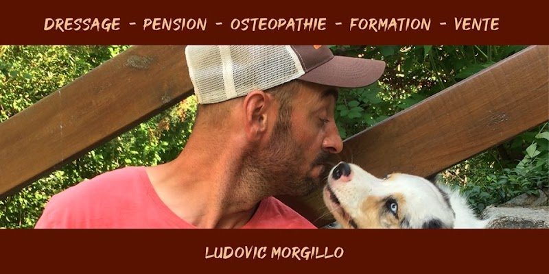 Mountain Dog - photo 1