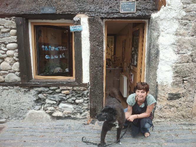 Un ère de chien joane toilettage canin sur Tencin - photo 3