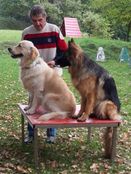 Baudet Rémy - éducateur canin - photo 1