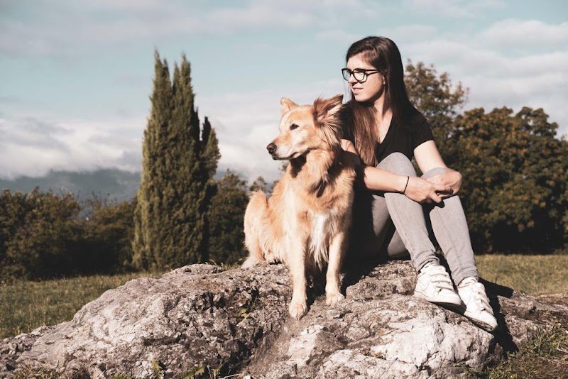 Yunta • Éducation et Comportement du chien de famille - photo 2