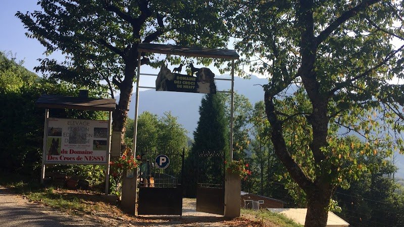 Pension Éducation Élevage Canine Savoie du domaine des crocs de Nessy