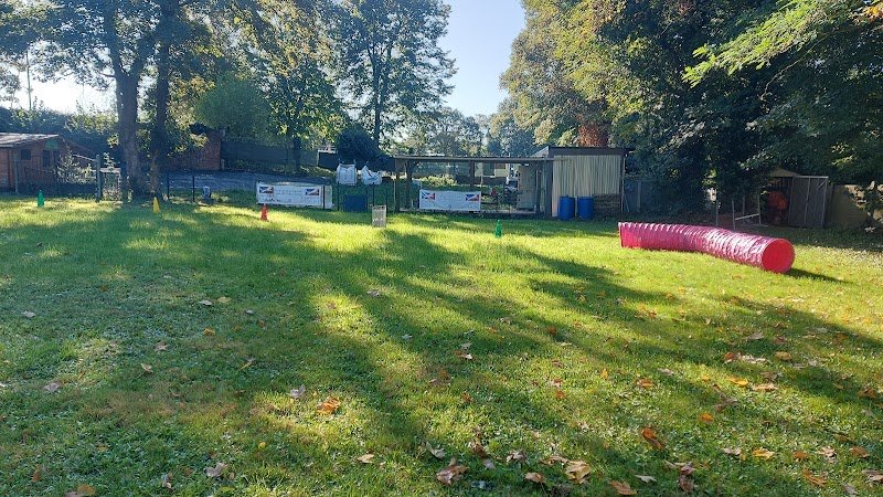 Club canin de l'arbre de Condé