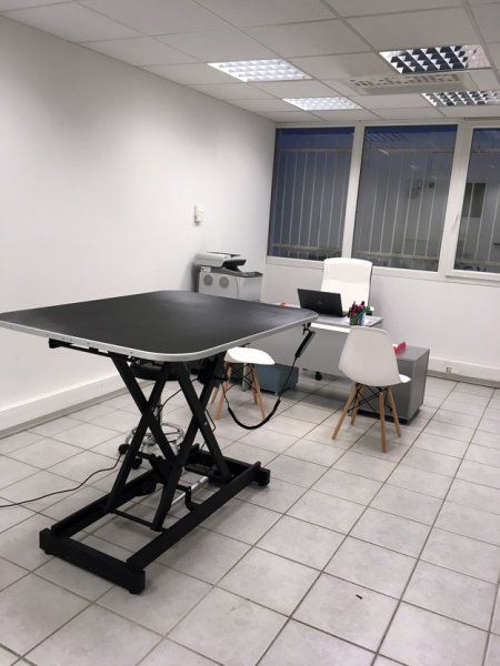 Strippoli Vanessa - Ostéopathe animalier (équin, canin) et physiothérapeute équin Grenoble (Isère)/Chambéry (Savoie) - photo 2