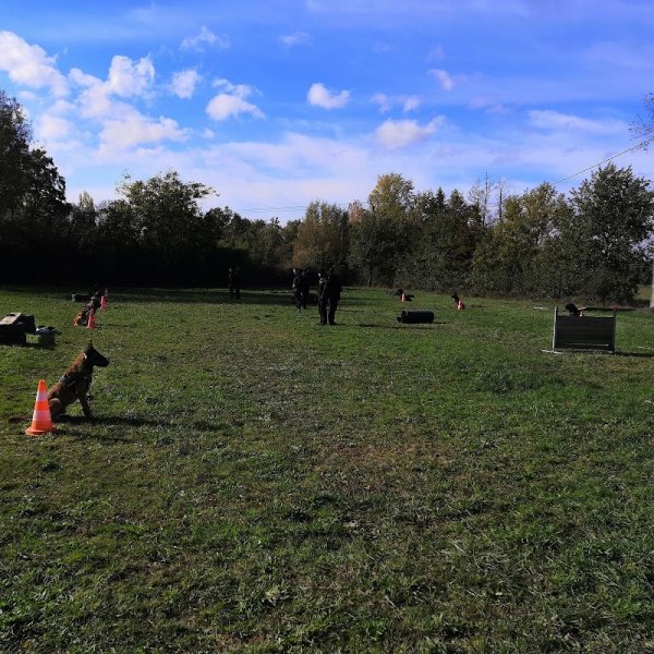 Maitre chien - photo 1