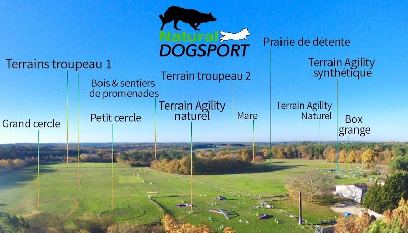 Natural DogSport - photo 1