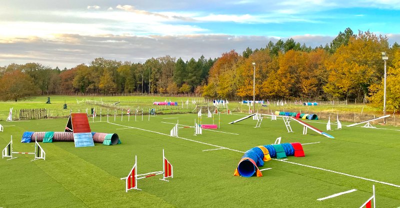 Natural DogSport - photo 2