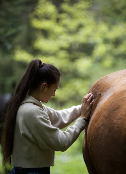 Marine BARD Ostéopathe Équin, Canin, Félin - Kinésiologue et Numérologue animalier