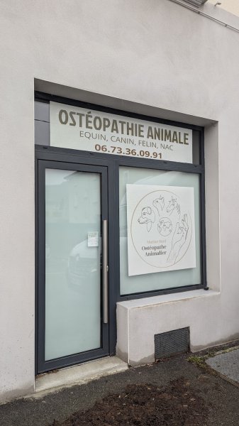 Marine BARD Ostéopathe Équin, Canin, Félin - Kinésiologue et Numérologue animalier - photo 3