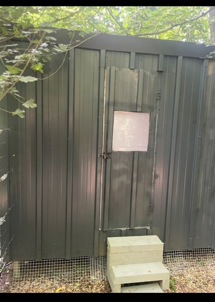 Pension canine et féline Les Chichicoons - photo 3