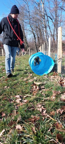 Club Canin Pommiérois