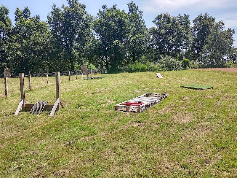 Club Canin Pommiérois - photo 3