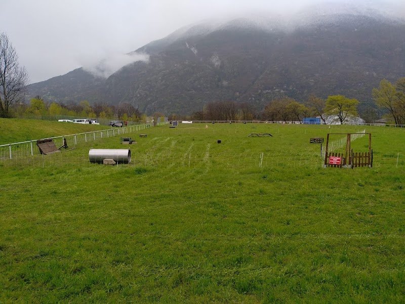 club canin du Bugeon - photo 1