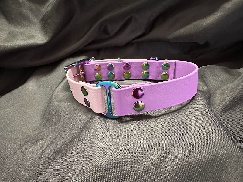 L’ACADÉMIE DES CHIENS - Éducateur comportementaliste canin. - photo 2