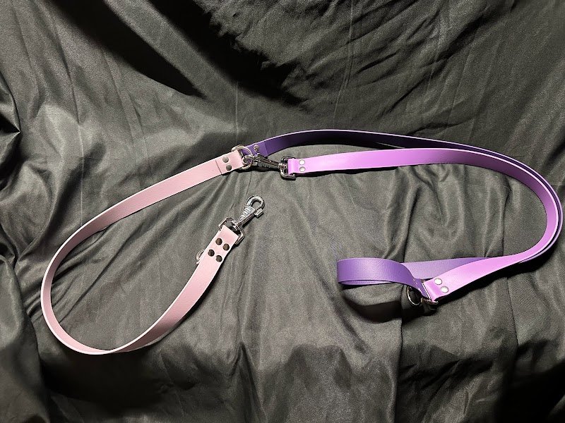 L’ACADÉMIE DES CHIENS - Éducateur comportementaliste canin. - photo 3