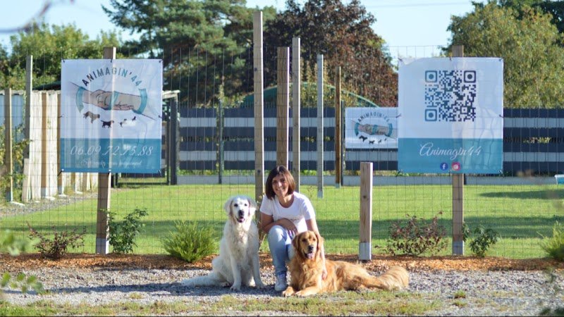 ANIMAGIN’44 - Educateur Comportementaliste canin Nantes