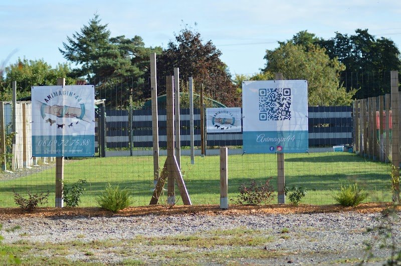 ANIMAGIN’44 - Educateur Comportementaliste canin Nantes - photo 3