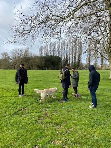 Éducateur canin à Nantes - Max&Compagnie - photo 3