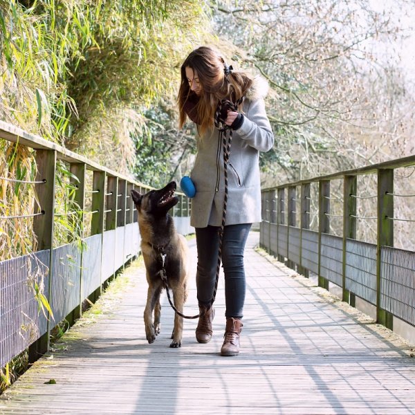 Maï Dog Nantes - Educateur & comportementaliste canin