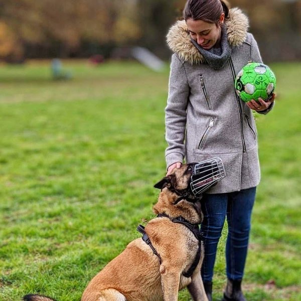 Maï Dog Nantes - Educateur & comportementaliste canin - photo 3