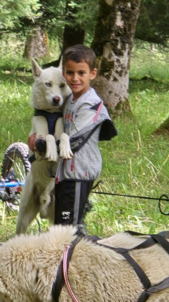 Elevage Canin - Clos de la Vallée Blanche - Isère - photo 3