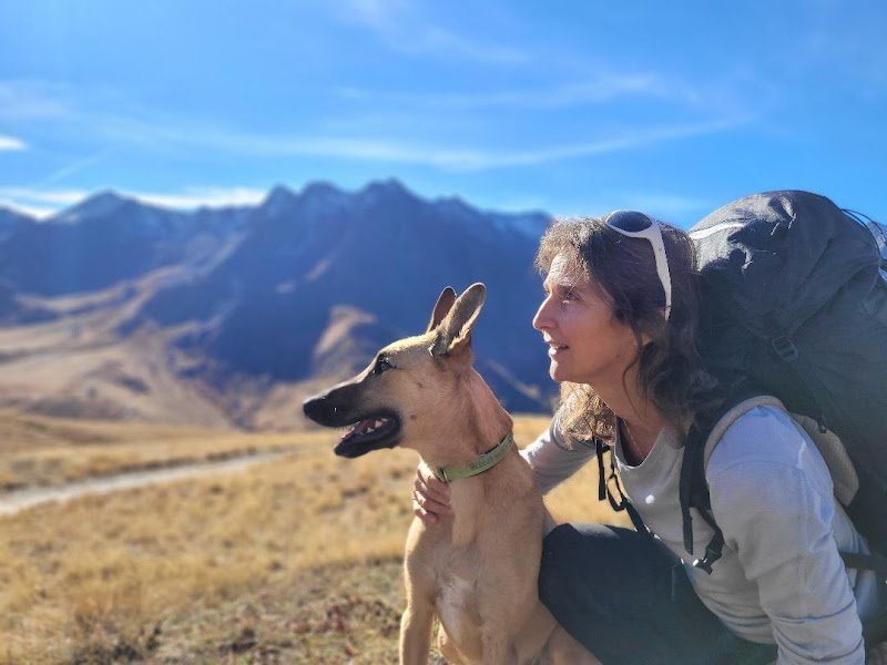 Les Chemins du Chien - photo 1