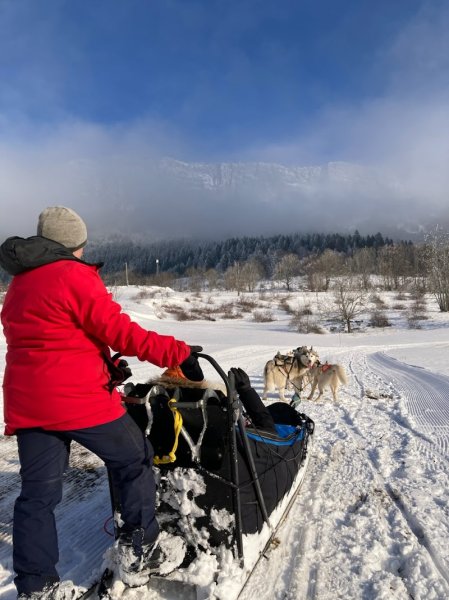 Evasion Polaire Vercors (Chiens de traineau) - photo 3