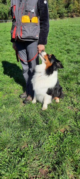 Bien Vivre Avec Son Chien Maurienne, éducation chiens et chiots. - photo 3