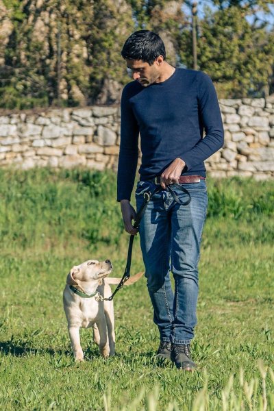 Educateur Canin Respectdogs Rouen - photo 1