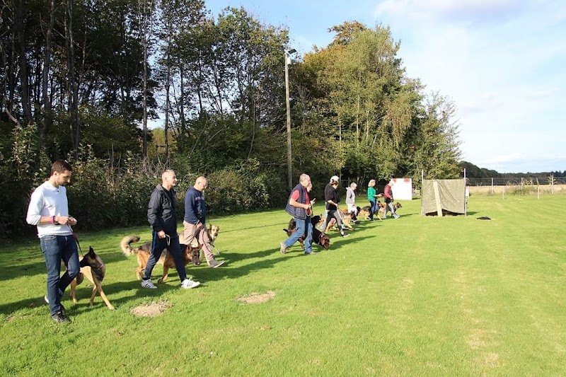 Club Canin - photo 1