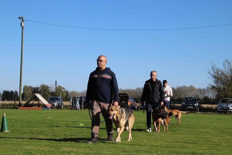 Club Canin - photo 2