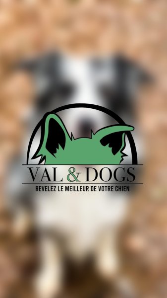Val & Dogs - Education et Comportements Canins - photo 1