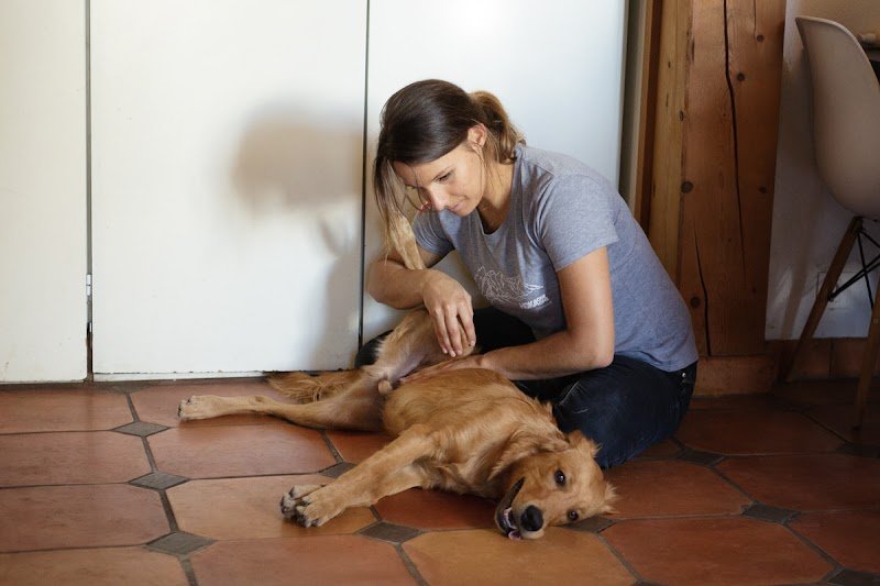 Madeleine Miesch - Ostéopathe animalier, équin, canin, félin, bovin