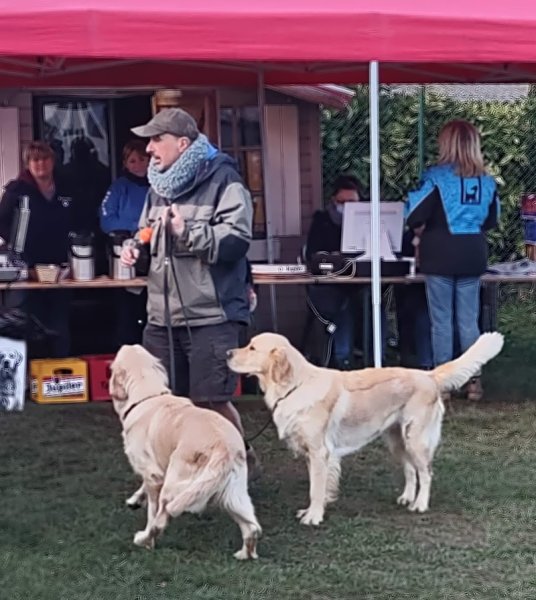 CEC WAPIDOG BLANDAIN - photo 2