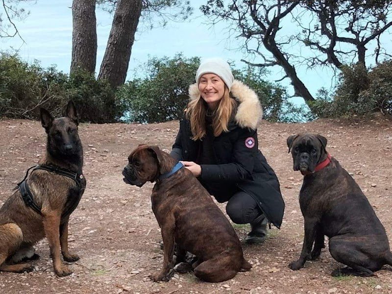 MH Education Canine - Éducateur comportementaliste canin à Toulon, Var et alentours - photo 3