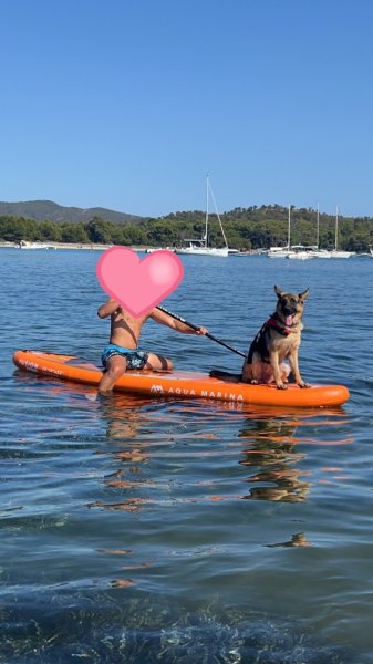 Comportementaliste 83 - photo 2