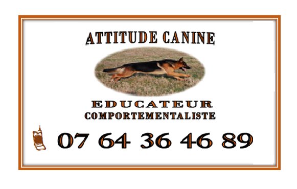 Attitude Canine - photo 1