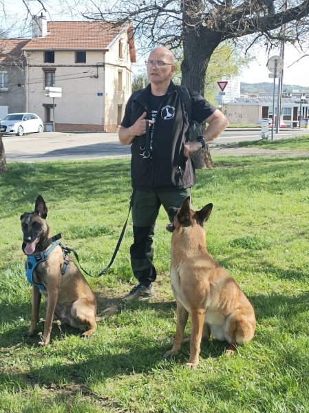 Educateur canin "parler chien" - photo 1