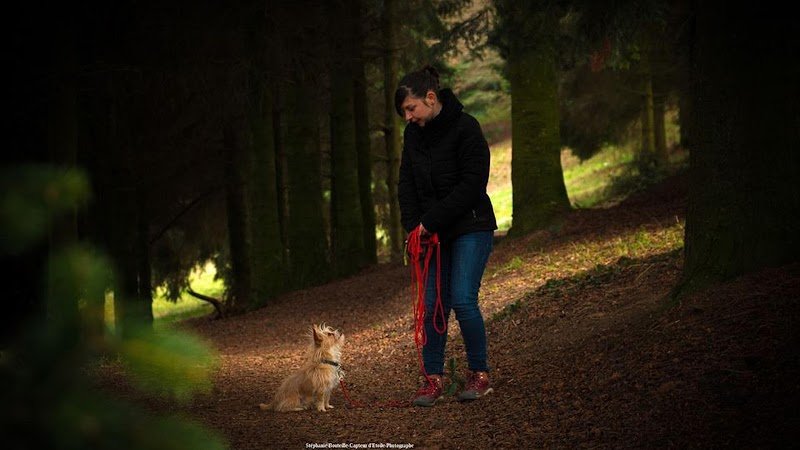 L'émocanin - photo 1