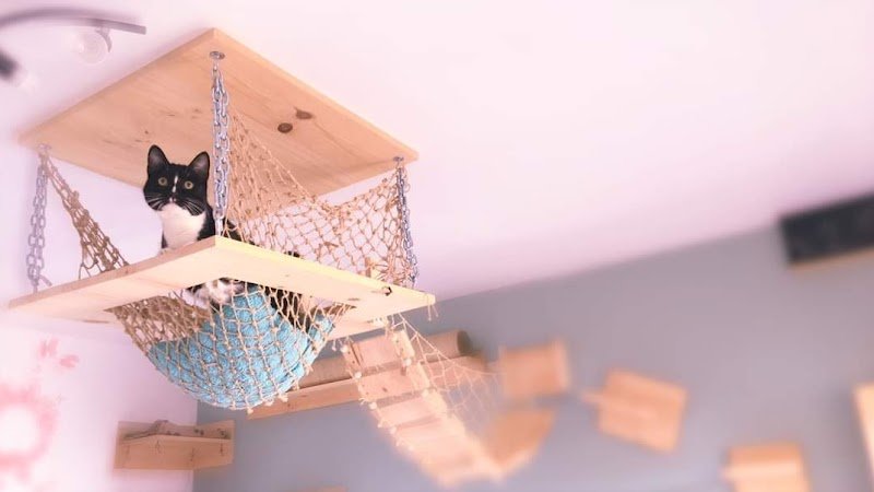 Pension (familiale) CatNacDog’s