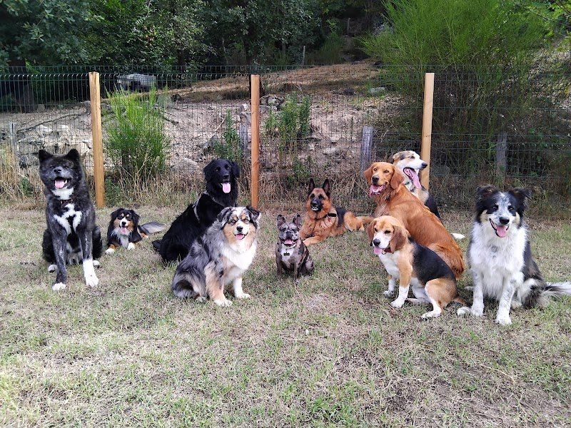 Pension (familiale) CatNacDog’s - photo 3