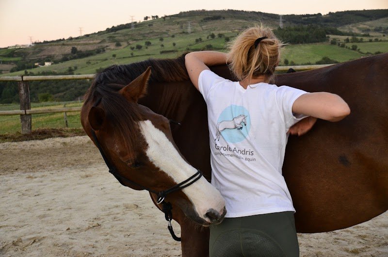 Carole Andris Comportementaliste et Acupunctrice Equin
