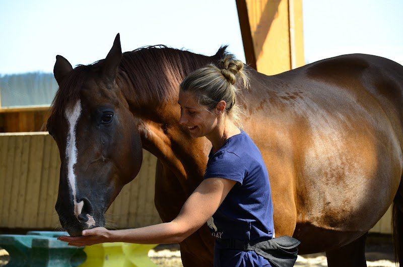Carole Andris Comportementaliste et Acupunctrice Equin - photo 2