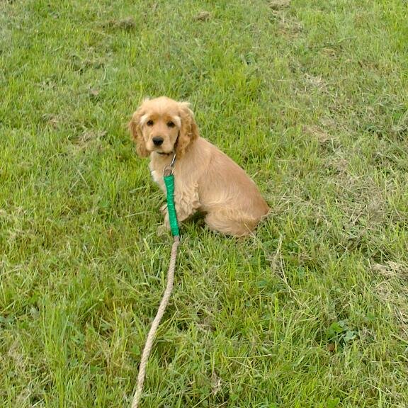 Julia Coach Canin - photo 2